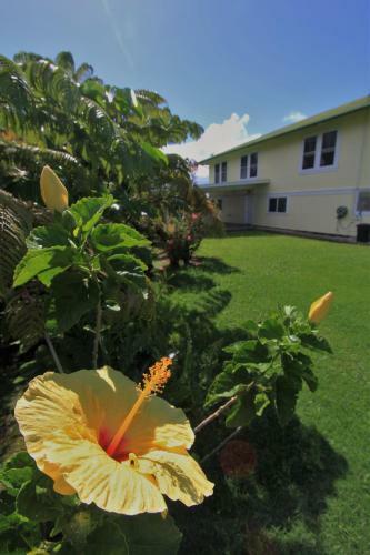 Hilo Bed And Breakfast