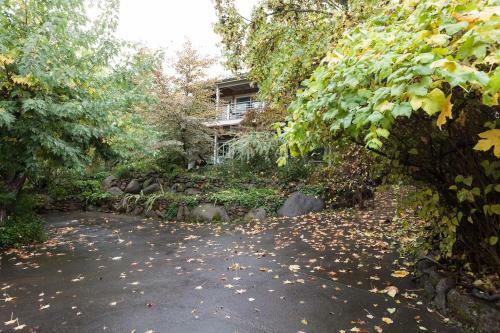 Tree House-river View-2br/1ba
