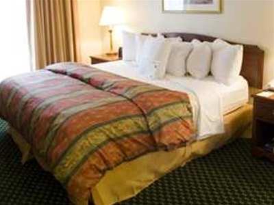 Hotel Homewood Suites Arlington