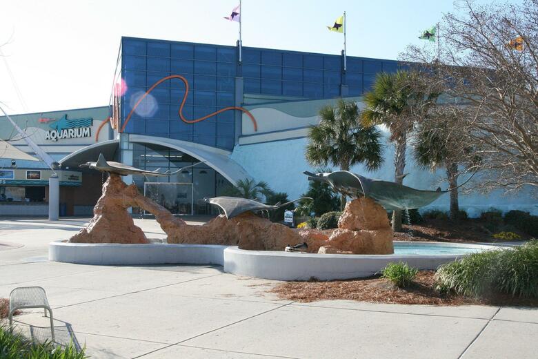 Hotel Hampton Inn Myrtle Beach West