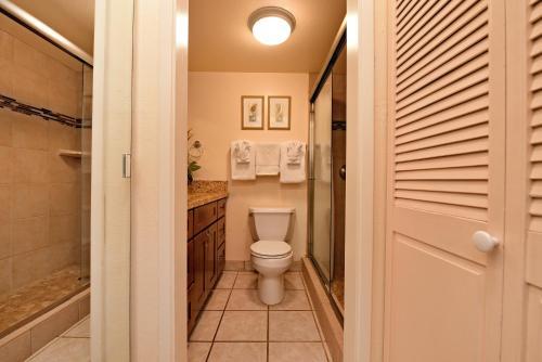 Apartamento Royal Kahana 202 Condo