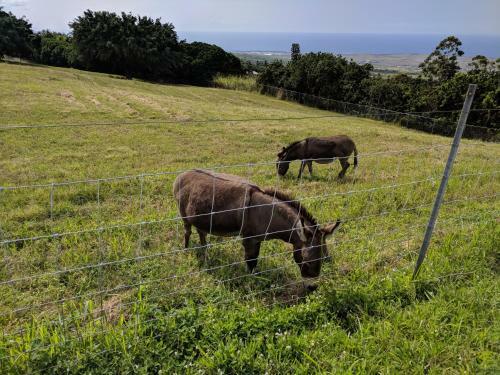 Agroturismo Silver Oaks Ranch