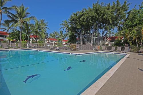 Kona Surf & Racquet Club 183