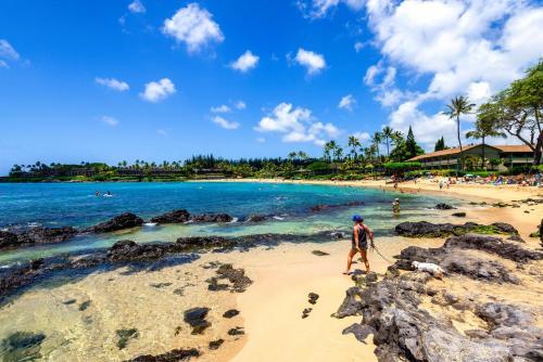 Apartamento Napili Point C-12