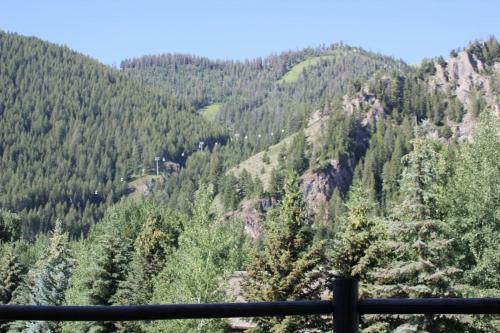 Sun Valley Condo 132