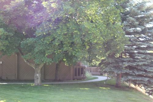 Sun Valley Condo 132