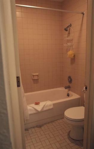 Sun Valley Condo 132