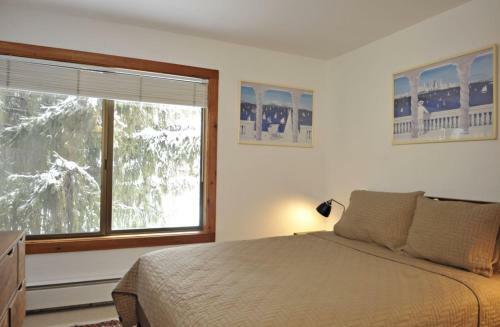 Sun Valley Condo 102