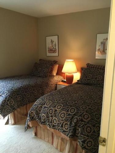 Sun Valley Condo 145