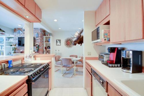 Skiway Condo