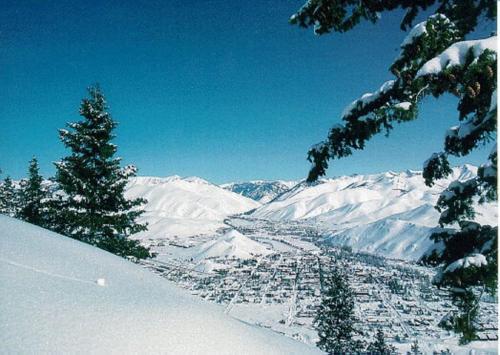 Sun Valley Condo 155