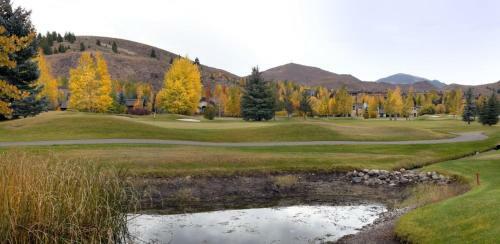 Sun Valley Condo 155