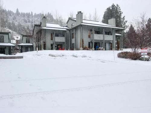 Greyhawk At The Ski Lifts -the Artisan