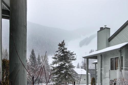 Greyhawk At The Ski Lifts -the Artisan