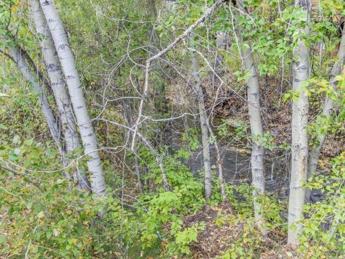 Bridgepoint Condo On Trail Creek