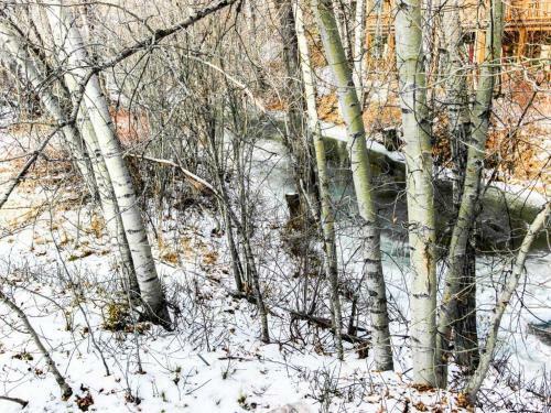 Bridgepoint Condo On Trail Creek