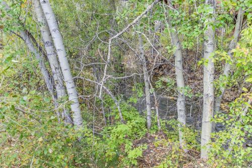 Bridgepoint Condo On Trail Creek