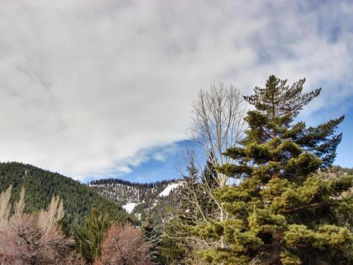 Ketchum Treehouse