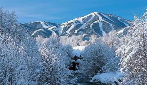 Sun Valley Town Home 215a