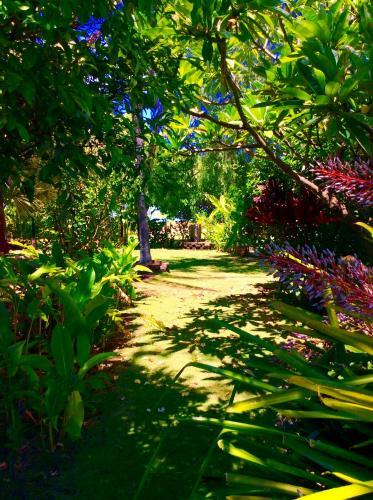 Apartamentos Nona Lani Cottages