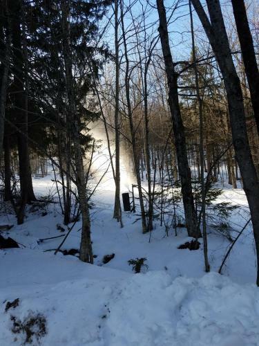 Ski In/out Spruce Glen Townhomes On Great Eastern Trail
