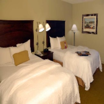 Hotel Hampton Inn Baltimore/bwi Airport