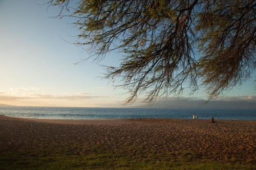 Apartamento Eldorado J209