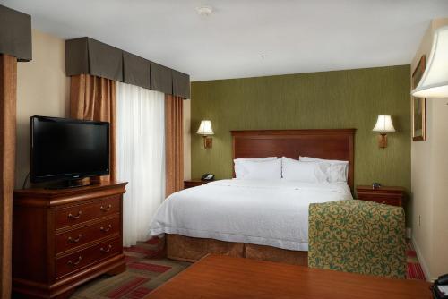 Hotel Hampton Inn & Suites Roswell Nm