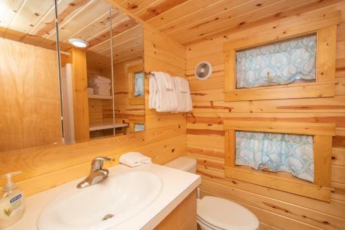 Lodge Tiny House Leadville Colorado