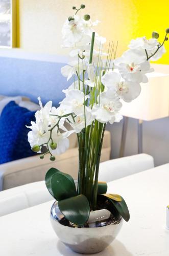 Apartamento Popular Hollywood Spectacular Double King Suite
