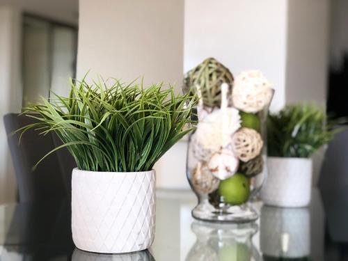 Apartamento Spacious 2 Bedroom In Santa Monica