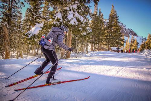 Apartamento Ski Run Villas #10