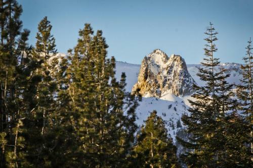 Mammoth Green Condos