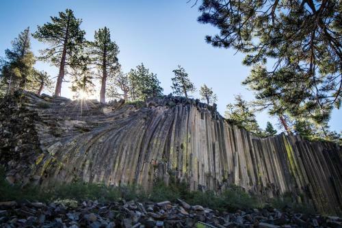 Mammoth Green Condos