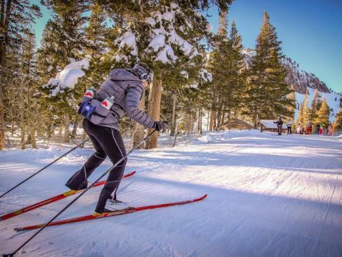 Snowcreek 233