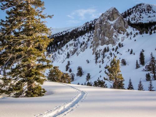 Snowcreek 233