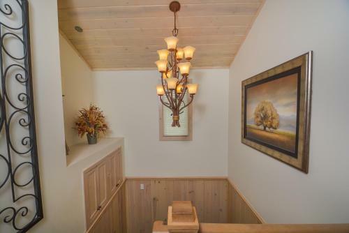 Steden Court Eight-bedroom Holiday Home