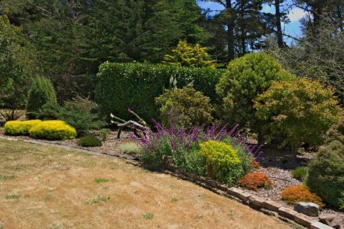 Mendocino Magic