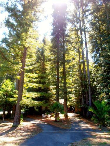 Northwood Lodge & Resort