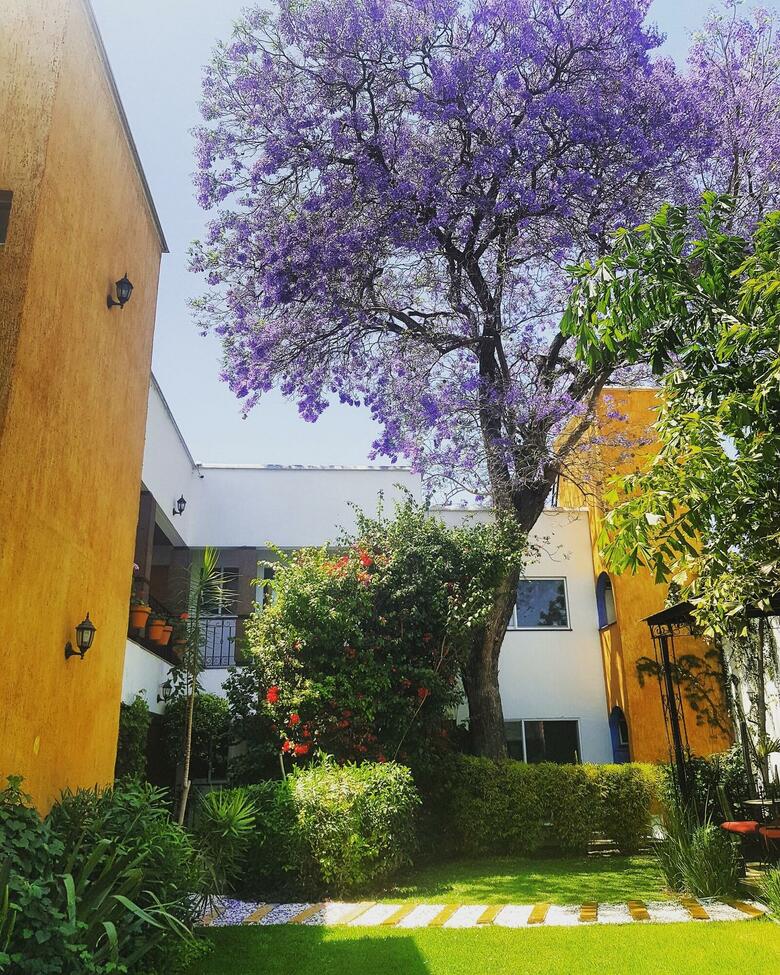 Hotel Quinta Lucca