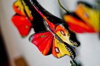 Quinta Rio Hotel Boutique