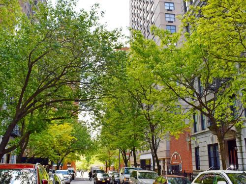 Apartment Midtown Garden