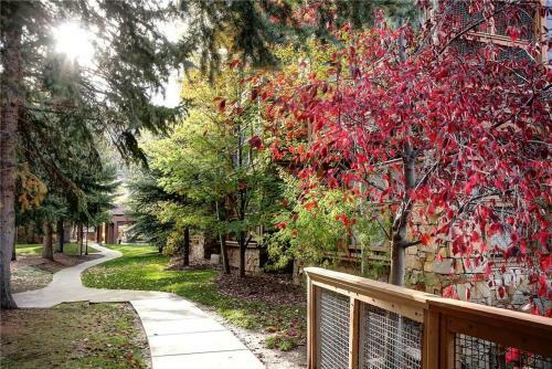 Apartamento Park Station 244-1