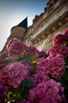 Hotel Ch�teau D'apign�