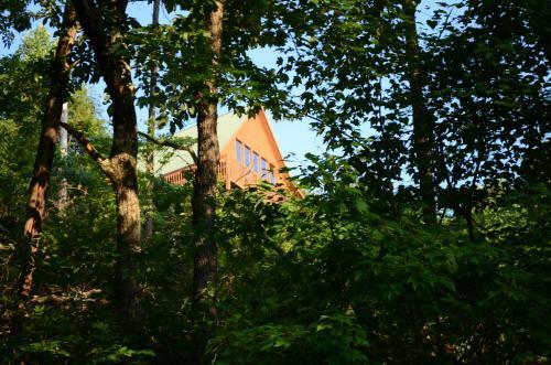 A Grand View From Above #225 - Two Bedroom Cabin