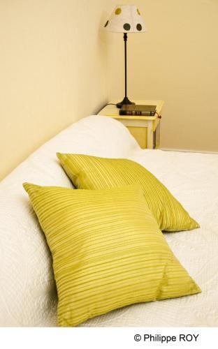 Hotel Chateau Meyre
