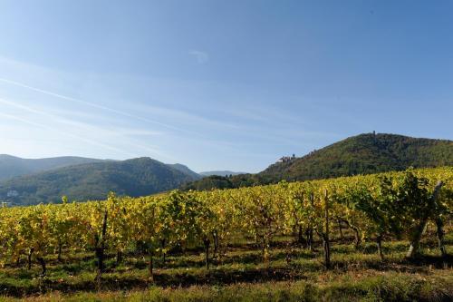 Hotel Le Clos Saint Vincent
