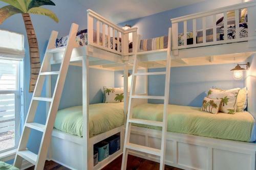 Cinnamon Shore- The Sunflower 163 Be