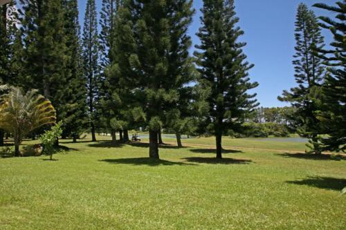 Hale Mahina
