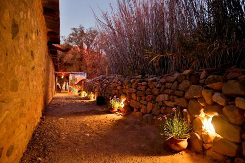 Waira Hostel-camping